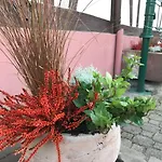 Panzió Aux Deux Cigognes