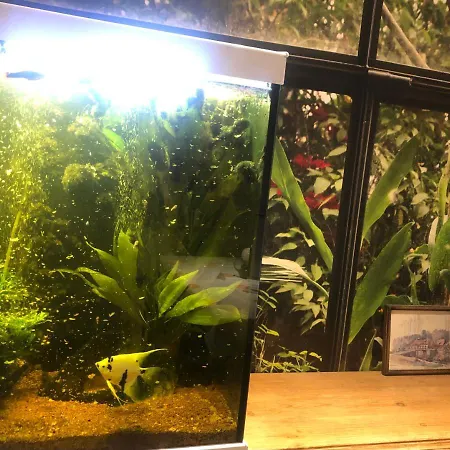 Aux Deux Cigognes Gries