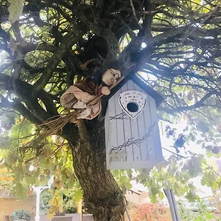 Aux Deux Cigognes 4*