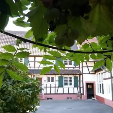 Aux Deux Cigognes Bed and Breakfast Gries