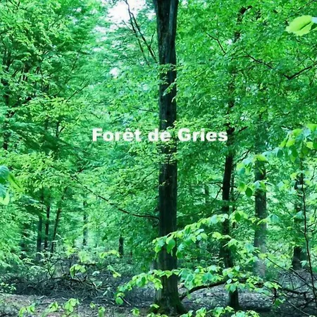 Aux Deux Cigognes 4* Gries