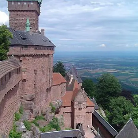 Aux Deux Cigognes 4* Gries