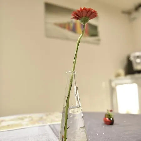 Aux Deux Cigognes Bed & Breakfast Gries