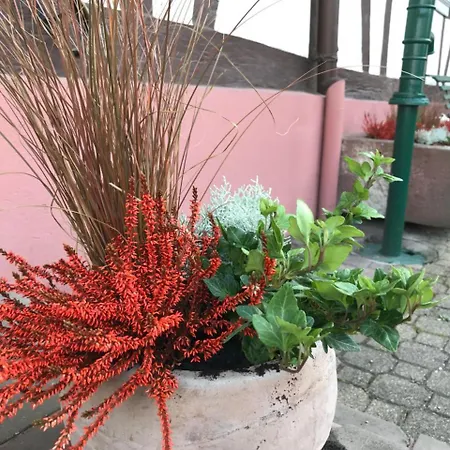 Bed & Breakfast Aux Deux Cigognes