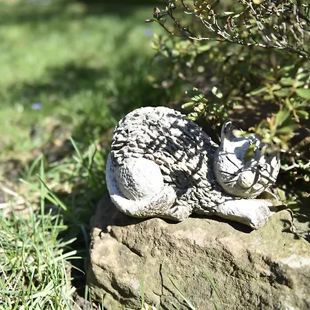 Aux Deux Cigognes Panzió Gries