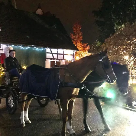 Alojamento de Acomodação e Pequeno-almoço Aux Deux Cigognes 4*