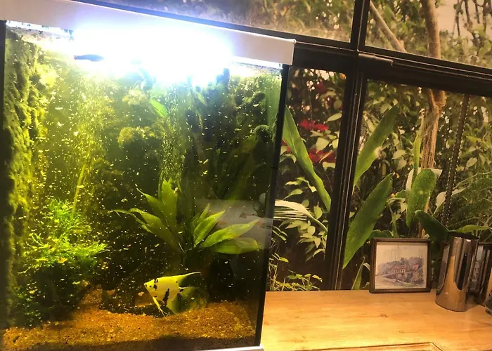 Aux Deux Cigognes Gries