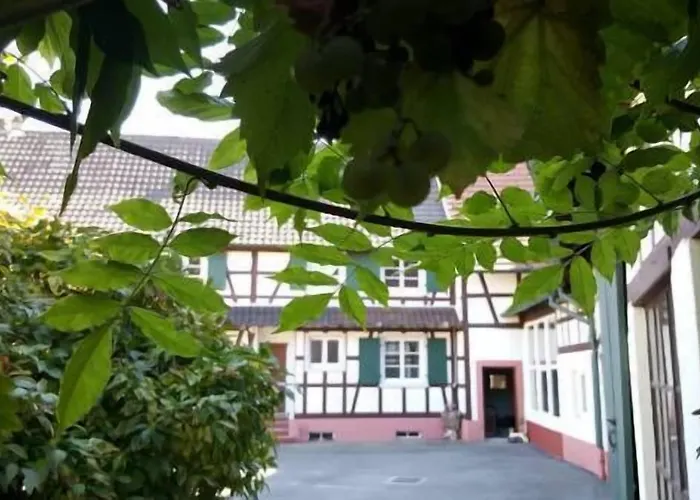 Aux Deux Cigognes Bed & Breakfast Gries