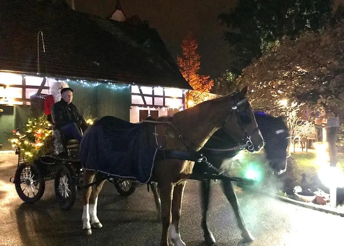 Bed & Breakfast Aux Deux Cigognes 4*